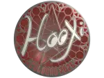 Sticker | HooXi (Foil) | Cologne 2026
