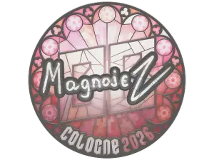 Magnojez