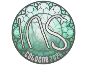 INS