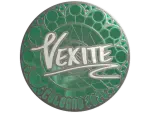 Sticker | vexite (Foil) | Cologne 2026
