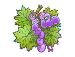 Sticker | From The Vine (Holo)