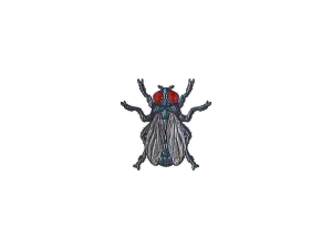Sticker | Fruit Fly (Foil)