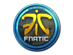 Sticker | Fnatic (Foil) | Cologne 2014