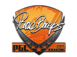 Sticker | pashaBiceps | Krakow 2017