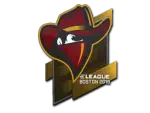 Sticker | Renegades | Boston 2018