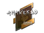 Sticker | AmaNEk | Boston 2018