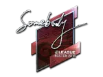 Sticker | somebody (Foil) | Boston 2018