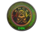 Sticker | ENCE (Holo) | Katowice 2019