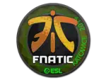 Sticker | Fnatic (Holo) | Katowice 2019