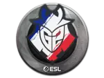 Sticker | G2 Esports | Katowice 2019