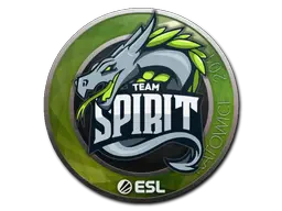 Team Spirit