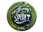 Sticker | Team Spirit | Katowice 2019