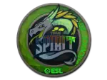 Sticker | Team Spirit (Holo) | Katowice 2019