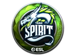 Team Spirit