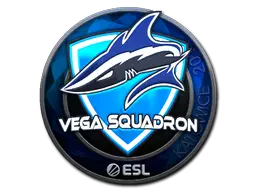 Vega Squadron