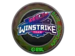 Sticker | Winstrike Team (Holo) | Katowice 2019