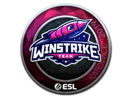 Sticker | Winstrike Team (Foil) | Katowice 2019 Sticker | Winstrike Team (Foil) | Katowice 2019