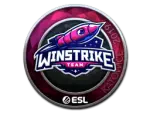 Sticker | Winstrike Team (Foil) | Katowice 2019