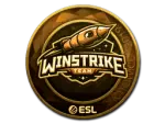 Sticker | Winstrike Team (Gold) | Katowice 2019