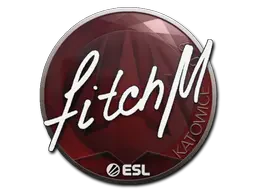 Sticker | fitch | Katowice 2019 Sticker | fitch | Katowice 2019