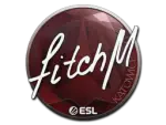 Sticker | fitch | Katowice 2019