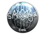 Sticker | smooya (Foil) | Katowice 2019