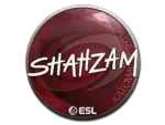 Sticker | ShahZaM | Katowice 2019