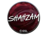 Sticker | ShahZaM (Foil) | Katowice 2019