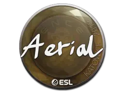 Sticker | Aerial | Katowice 2019 Sticker | Aerial | Katowice 2019
