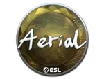 Sticker | Aerial (Foil) | Katowice 2019