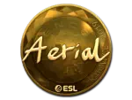 Sticker | Aerial (Gold) | Katowice 2019