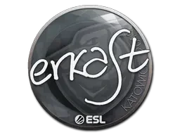 Sticker | erkaSt | Katowice 2019 Sticker | erkaSt | Katowice 2019