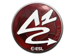 Sticker | ANGE1 | Katowice 2019