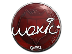 woxic | Katowice 2019