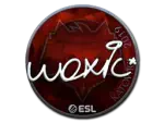 Sticker | woxic (Foil) | Katowice 2019