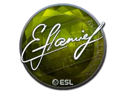Sticker | flamie (Foil) | Katowice 2019