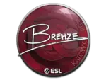 Sticker | Brehze | Katowice 2019