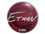Sticker | Ethan | Katowice 2019