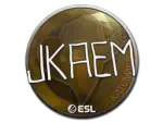 Sticker | jkaem | Katowice 2019