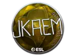 Sticker | jkaem (Foil) | Katowice 2019