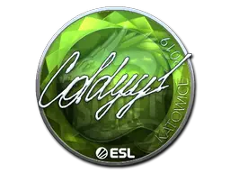 Sticker | COLDYY1 (Foil) | Katowice 2019 Sticker | COLDYY1 (Foil) | Katowice 2019