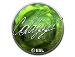 Sticker | COLDYY1 (Foil) | Katowice 2019