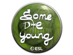 sdy