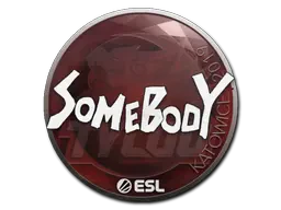 somebody