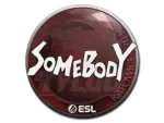 Sticker | somebody | Katowice 2019