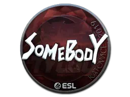 Sticker | somebody (Foil) | Katowice 2019 Sticker | somebody (Foil) | Katowice 2019