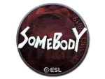 Sticker | somebody (Foil) | Katowice 2019
