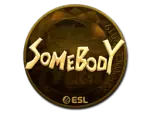 Sticker | somebody (Gold) | Katowice 2019