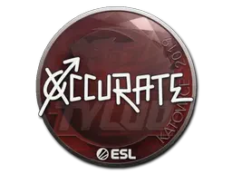 Sticker | xccurate | Katowice 2019 Sticker | xccurate | Katowice 2019