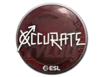Sticker | xccurate | Katowice 2019